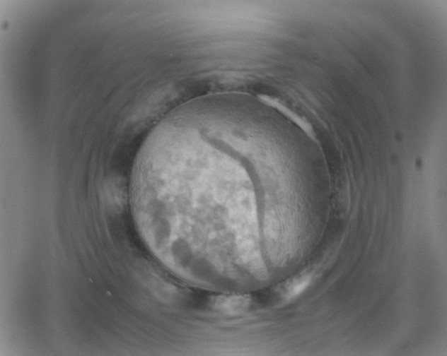 X0000064040135200601301158