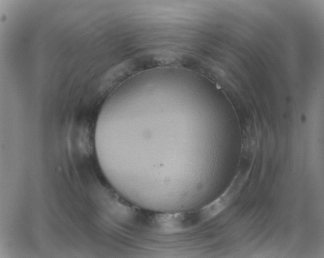 X0000064040136200601301158