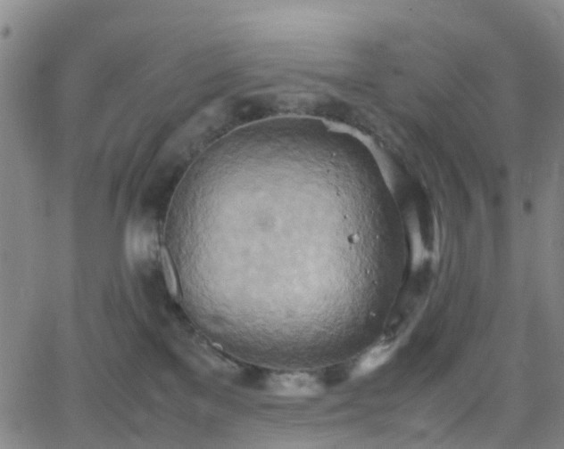 X0000064040137200601301158