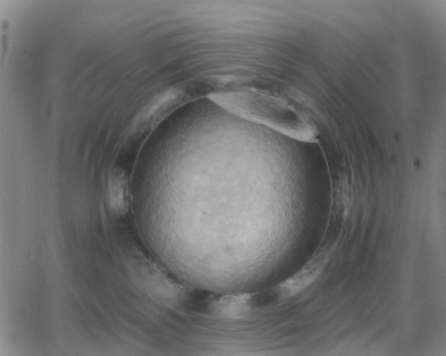 X0000064040138200601301158