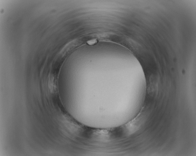 X0000064040140200601301158