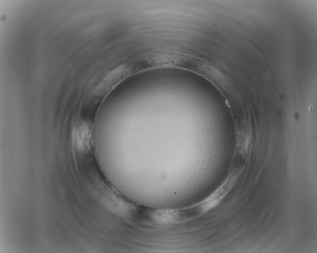 X0000064040142200601301158