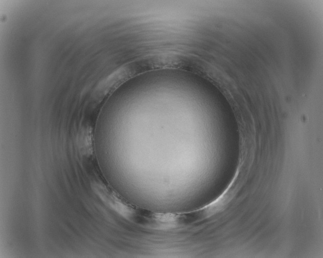 X0000064040144200601301158