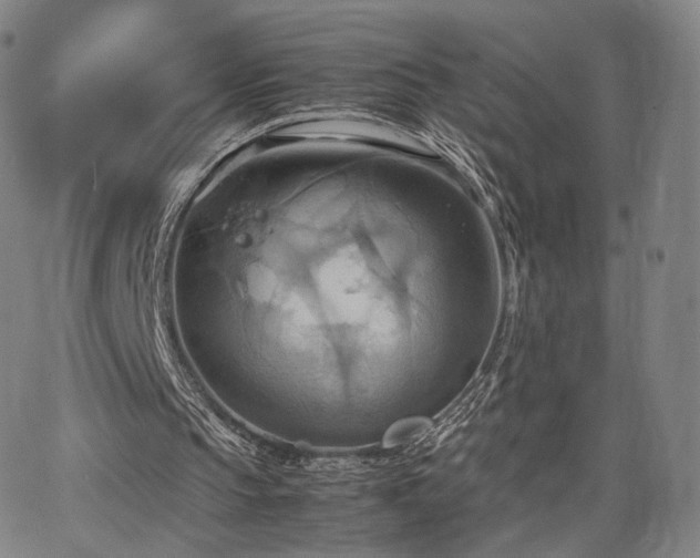 X0000064040145200601301157