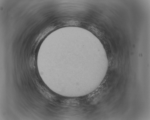 X0000064040146200601301157