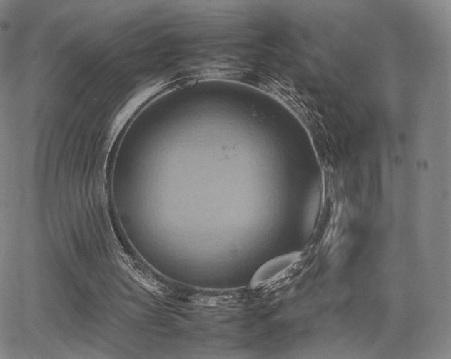 X0000064040147200601301157