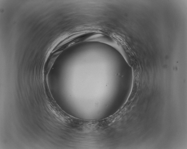 X0000064040148200601301157