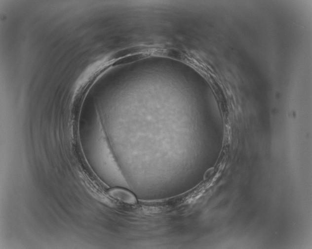 X0000064040149200601301157