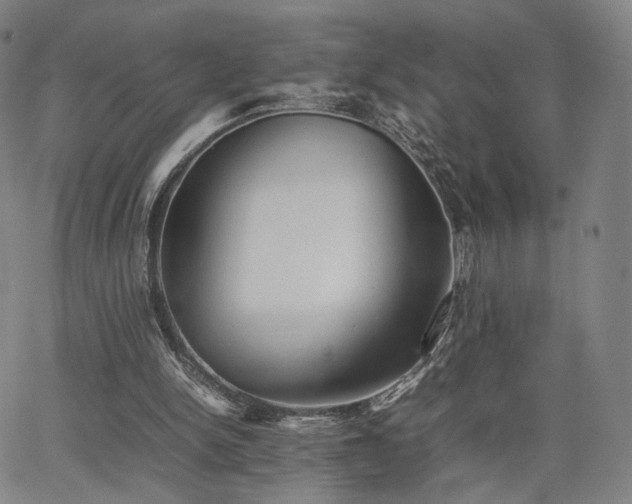 X0000064040150200601301157