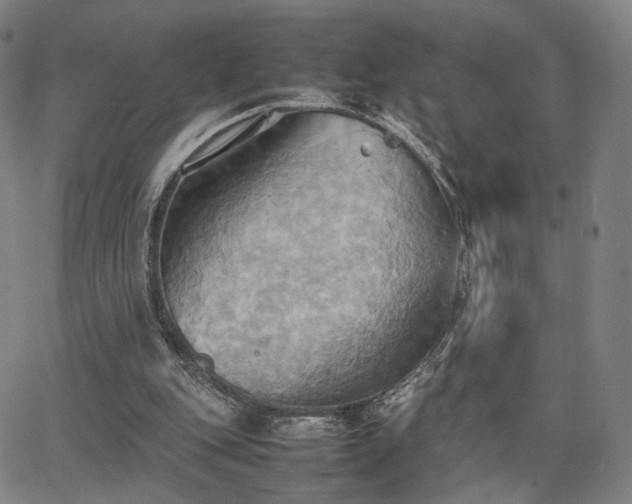 X0000064040151200601301157