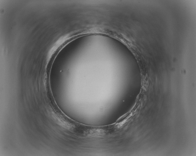 X0000064040152200601301157