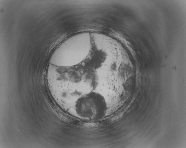 X0000064040153200601301157