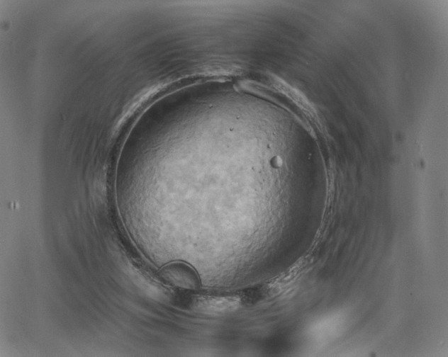 X0000064040155200601301157