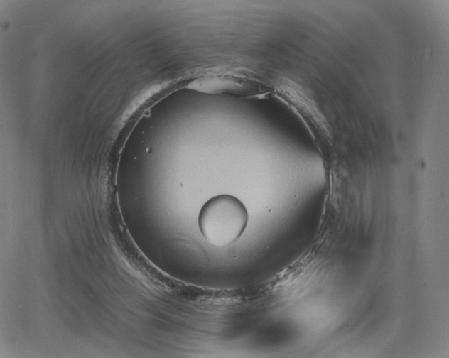 X0000064040156200601301157