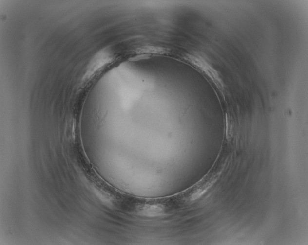 X0000064040157200601301157