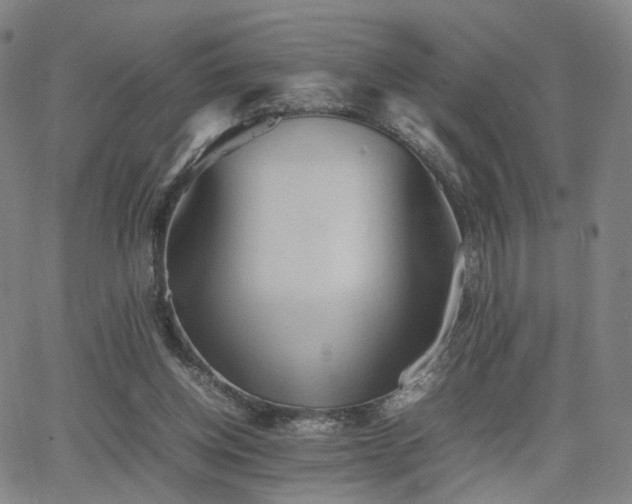 X0000064040158200601301157