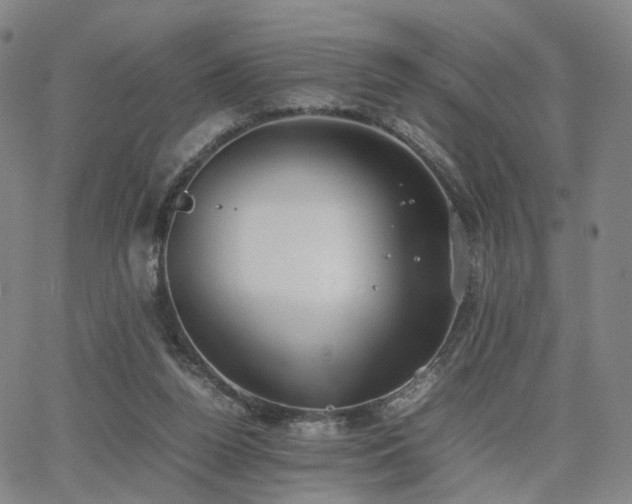 X0000064040160200601301157