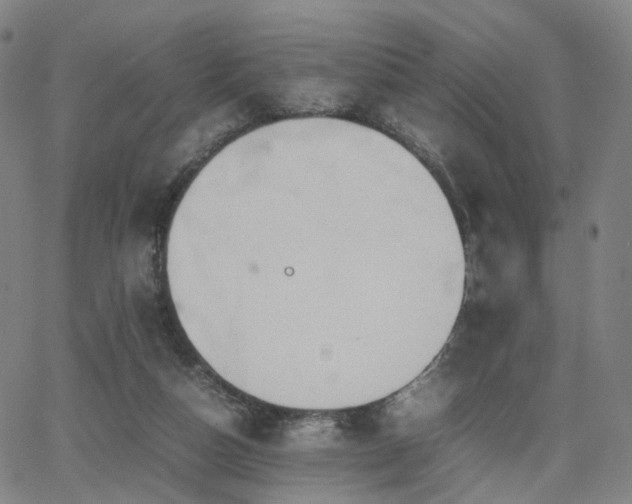 X0000064040162200601301157