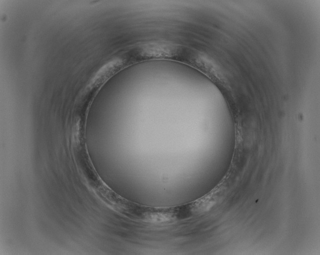 X0000064040163200601301157