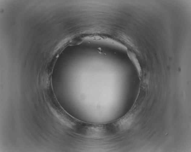 X0000064040164200601301157