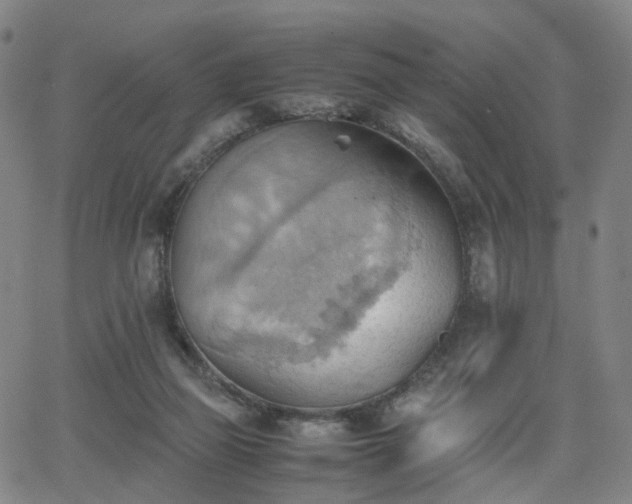 X0000064040165200601301157