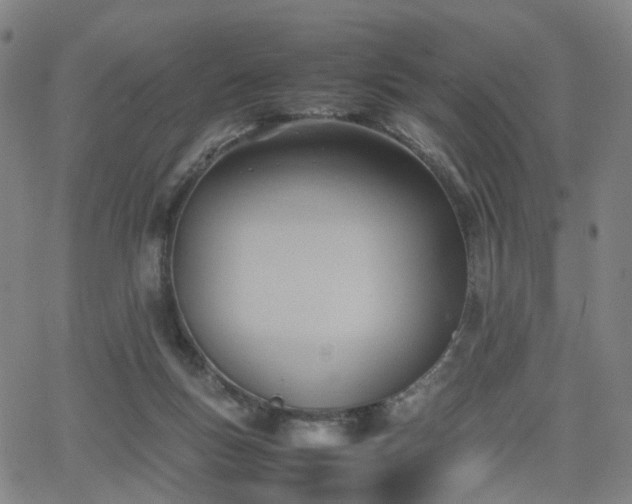 X0000064040167200601301157