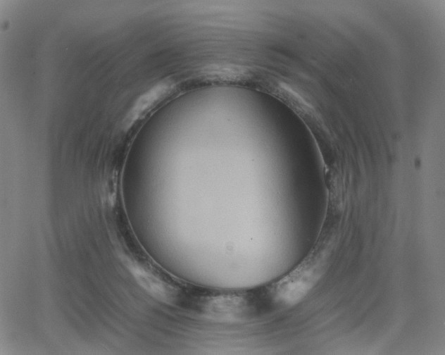 X0000064040168200601301157