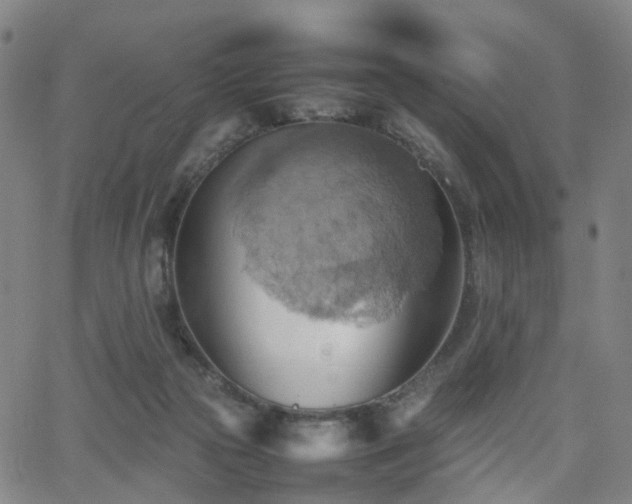 X0000064040169200601301157