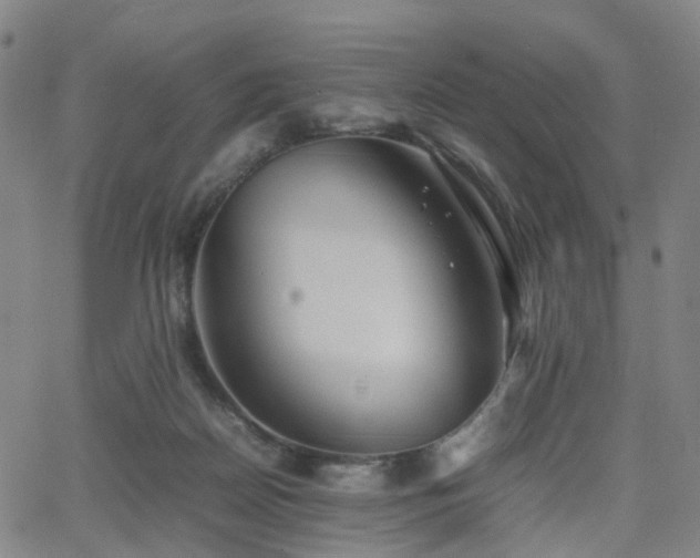 X0000064040170200601301157