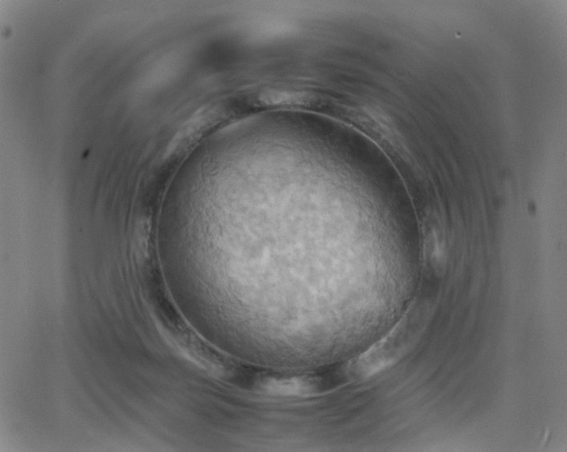 X0000064040171200601301157