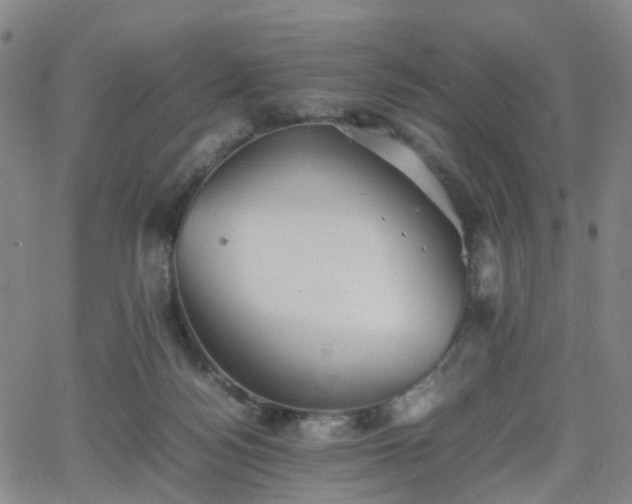 X0000064040172200601301157