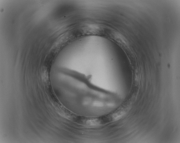 X0000064040173200601301157