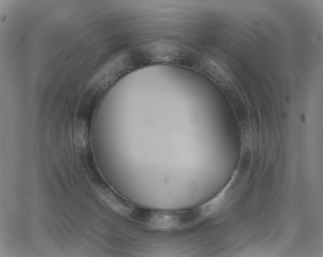 X0000064040174200601301157