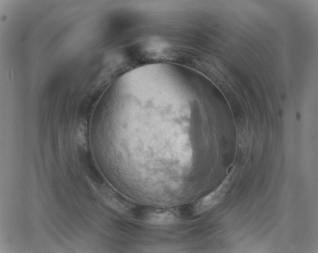 X0000064040175200601301157