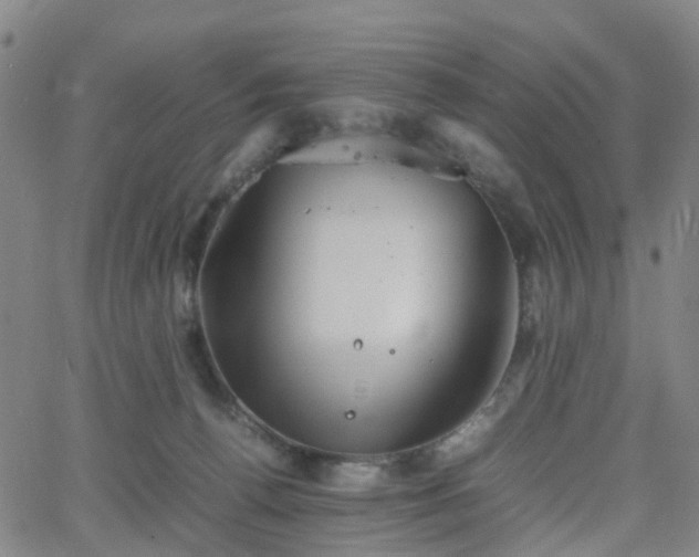 X0000064040176200601301157