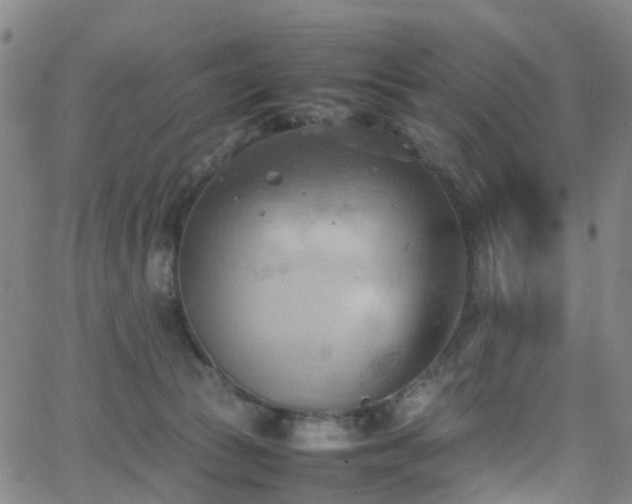 X0000064040177200601301157