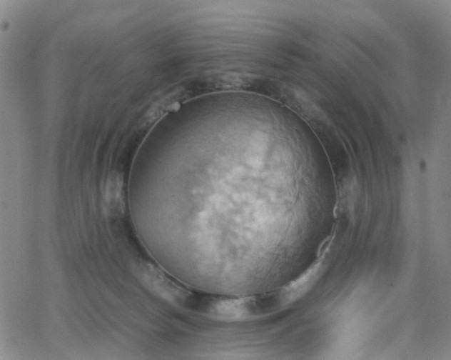 X0000064040178200601301157