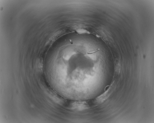 X0000064040179200601301158