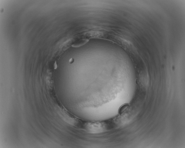 X0000064040181200601301158