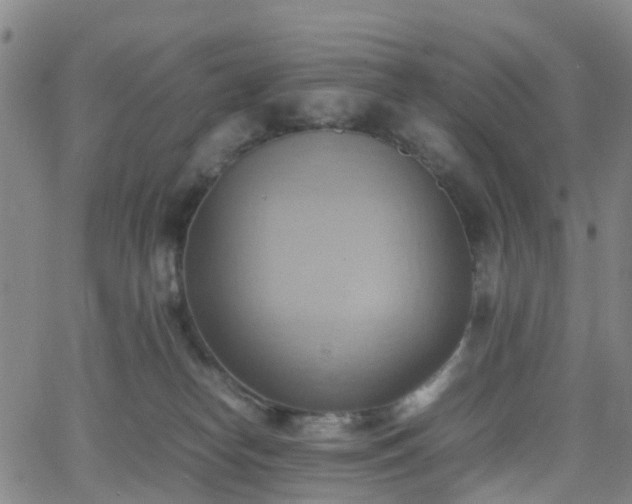 X0000064040182200601301158