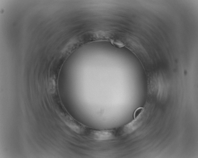 X0000064040183200601301158