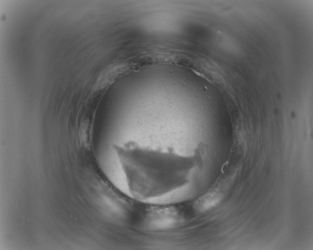 X0000064040185200601301158