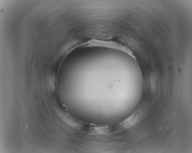 X0000064040188200601301158