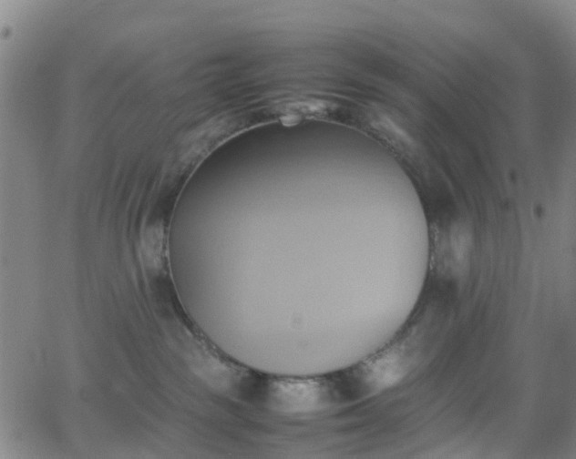 X0000064040189200601301158