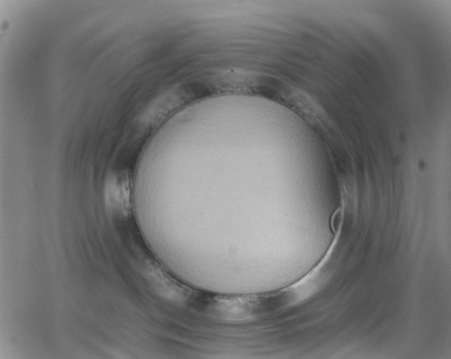 X0000064040190200601301158