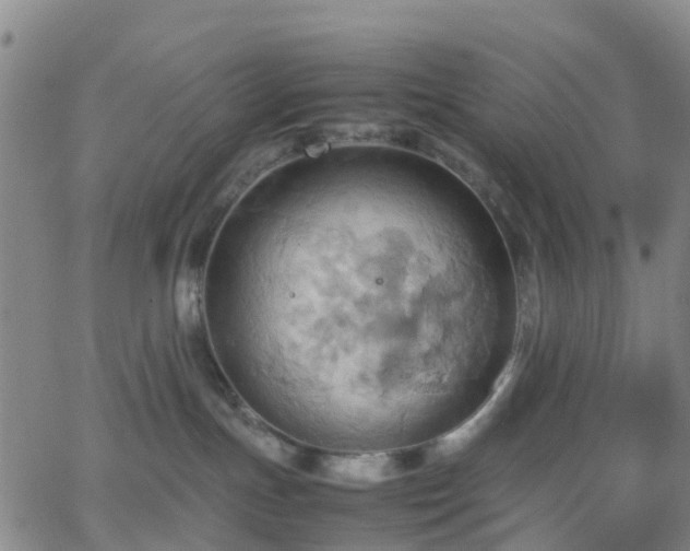 X0000064040191200601301158