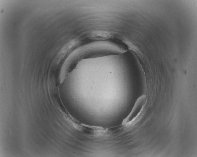 X0000064040192200601301158