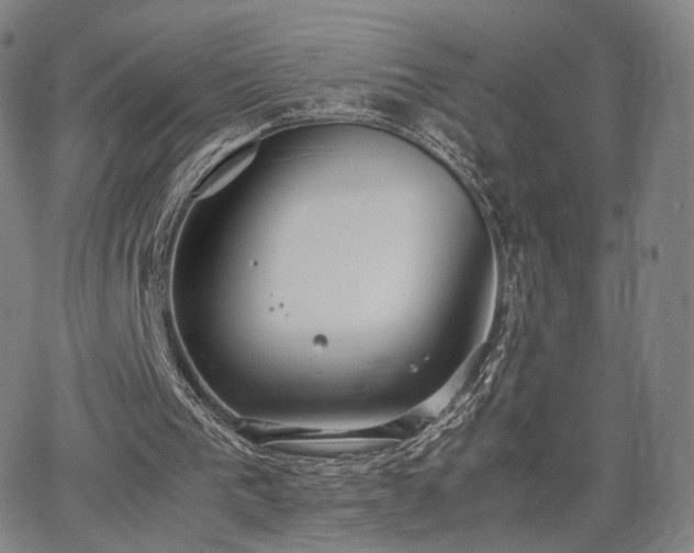 X0000064040193200601301157