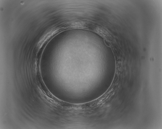 X0000064040194200601301157