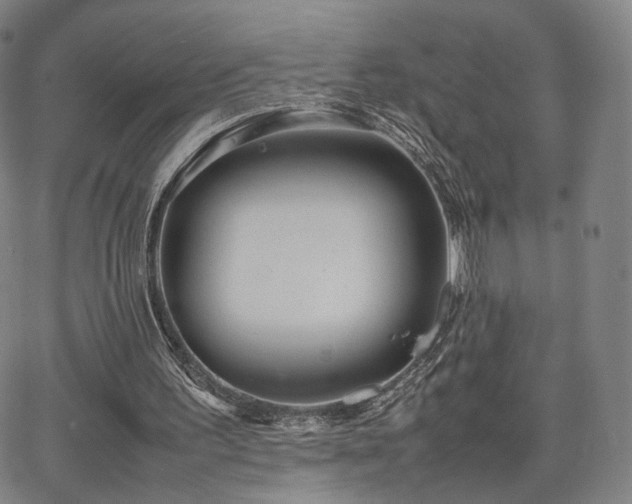 X0000064040195200601301157